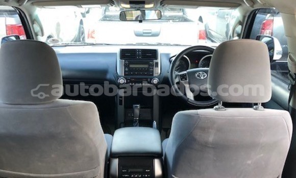 Buy Used Toyota Prado White Car in Bridgetown in Barbados Buy Used Toyota Prado White Car in Bridgetown in Barbados