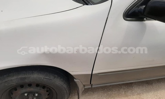 Buy Used Nissan Sunny White Car in Bridgetown in Barbados Buy Used Nissan Sunny White Car in Bridgetown in Barbados