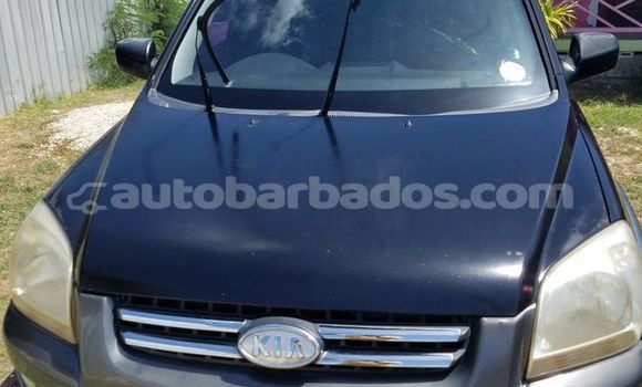 Buy Used Kia Sportage Black Car in Bridgetown in Barbados