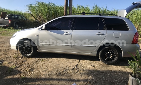 Buy Used Toyota Corolla Silver Car in Bridgetown in Barbados Buy Used Toyota Corolla Silver Car in Bridgetown in Barbados