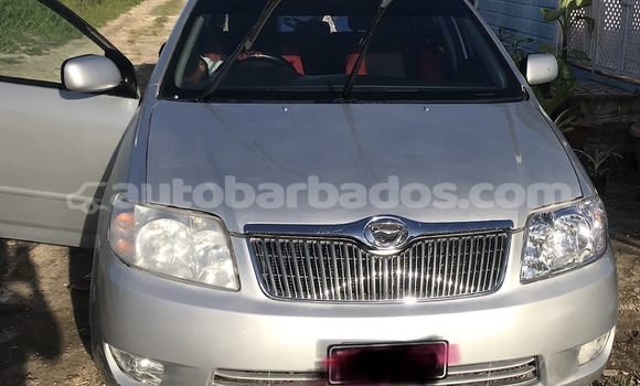 Buy Used Toyota Corolla Silver Car in Bridgetown in Barbados Buy Used Toyota Corolla Silver Car in Bridgetown in Barbados