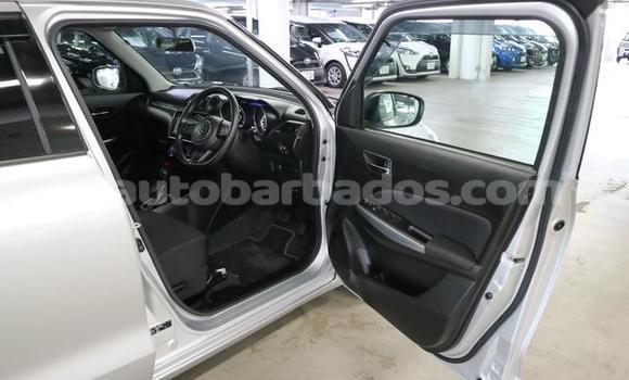 Buy Used Suzuki Swift Silver Car in Bridgetown in Barbados Buy Used Suzuki Swift Silver Car in Bridgetown in Barbados