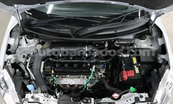Buy Used Suzuki Swift Silver Car in Bridgetown in Barbados Buy Used Suzuki Swift Silver Car in Bridgetown in Barbados