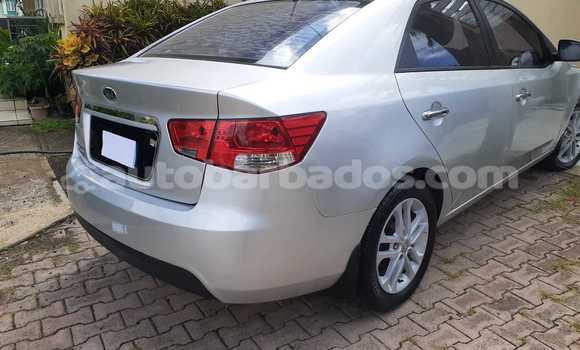 Buy Used Kia Cerato Silver Car in Oistins in Barbados Buy Used Kia Cerato Silver Car in Oistins in Barbados