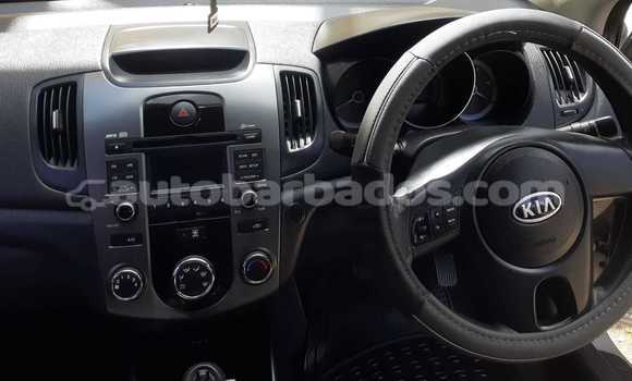 Buy Used Kia Cerato Silver Car in Oistins in Barbados Buy Used Kia Cerato Silver Car in Oistins in Barbados