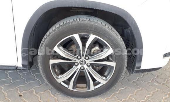 Buy Used Lexus RX 350 White Car in Bridgetown in Barbados Buy Used Lexus RX 350 White Car in Bridgetown in Barbados