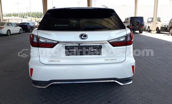 Buy Used Lexus RX 350 White Car in Bridgetown in Barbados Buy Used Lexus RX 350 White Car in Bridgetown in Barbados