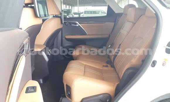 Buy Used Lexus RX 350 White Car in Crane in Barbados Buy Used Lexus RX 350 White Car in Crane in Barbados