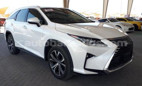 Buy Used Lexus RX 350 White Car in Crane in Barbados Buy Used Lexus RX 350 White Car in Crane in Barbados