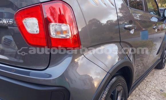 Buy Used Suzuki Ignis Other Car in Bridgetown in Barbados Buy Used Suzuki Ignis Other Car in Bridgetown in Barbados