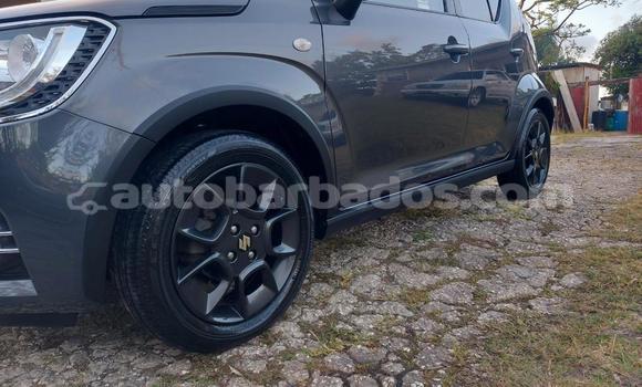 Buy Used Suzuki Ignis Other Car in Bridgetown in Barbados Buy Used Suzuki Ignis Other Car in Bridgetown in Barbados