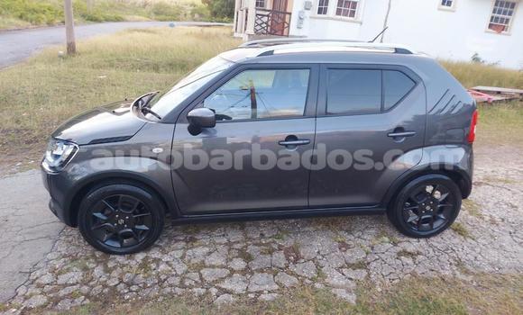 Buy Used Suzuki Ignis Other Car in Bridgetown in Barbados Buy Used Suzuki Ignis Other Car in Bridgetown in Barbados