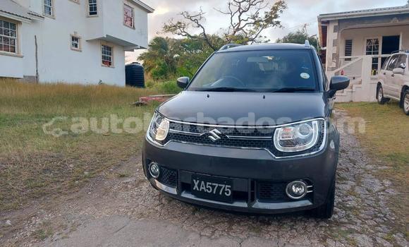 Buy Used Suzuki Ignis Other Car in Bridgetown in Barbados Buy Used Suzuki Ignis Other Car in Bridgetown in Barbados