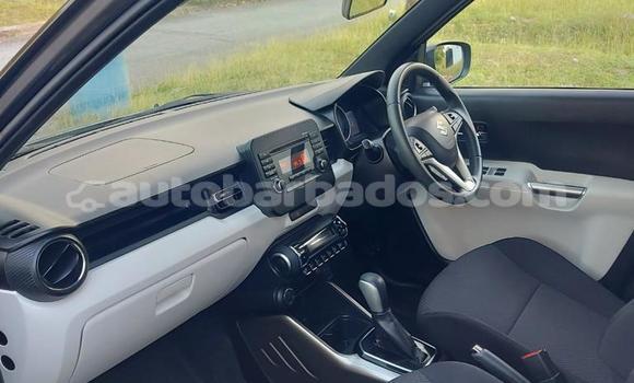 Buy Used Suzuki Ignis Other Car in Bridgetown in Barbados Buy Used Suzuki Ignis Other Car in Bridgetown in Barbados