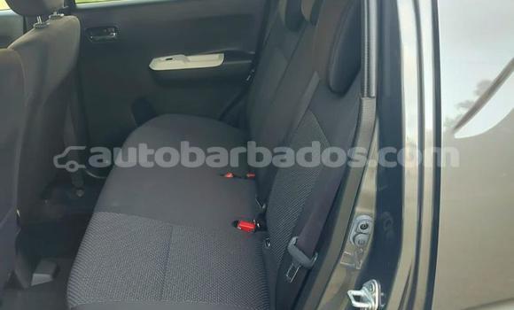 Buy Used Suzuki Ignis Other Car in Bridgetown in Barbados Buy Used Suzuki Ignis Other Car in Bridgetown in Barbados