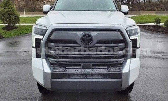 Buy Used Toyota Tundra White Car in Greenland in Barbados Buy Used Toyota Tundra White Car in Greenland in Barbados