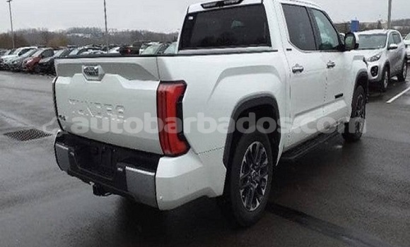 Buy Used Toyota Tundra White Car in Greenland in Barbados Buy Used Toyota Tundra White Car in Greenland in Barbados