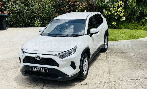 Buy Used Toyota RAV4 White Car in Holetown in Barbados Buy Used Toyota RAV4 White Car in Holetown in Barbados