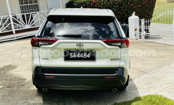 Buy Used Toyota RAV4 White Car in Holetown in Barbados Buy Used Toyota RAV4 White Car in Holetown in Barbados