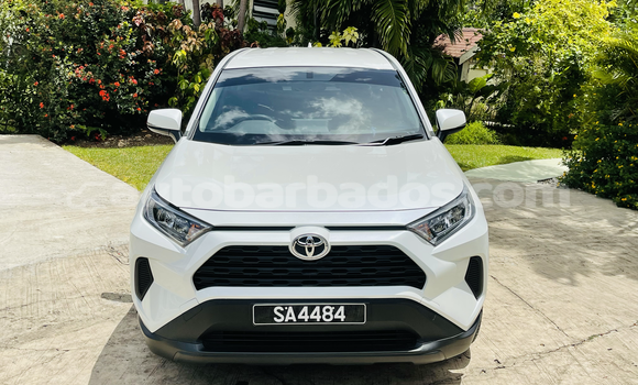 Buy Used Toyota RAV4 White Car in Holetown in Barbados Buy Used Toyota RAV4 White Car in Holetown in Barbados