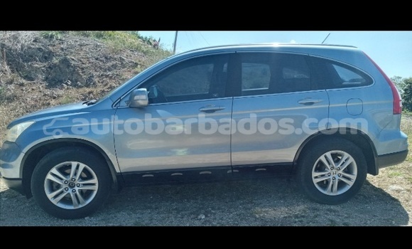 Buy Used Honda CR–V Blue Car in Bridgetown in Barbados