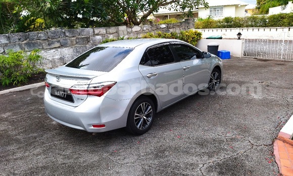 Buy Used Toyota Corolla Silver Car in Oistins in Barbados Buy Used Toyota Corolla Silver Car in Oistins in Barbados