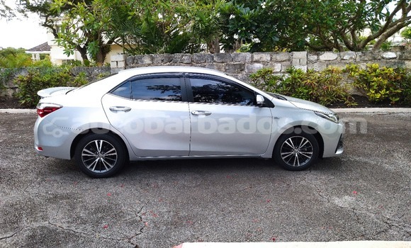Buy Used Toyota Corolla Silver Car in Oistins in Barbados Buy Used Toyota Corolla Silver Car in Oistins in Barbados