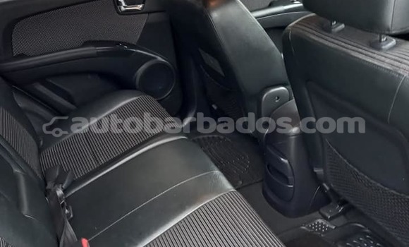 Buy Used Kia Sportage Silver Car in Bathsheba in Barbados Buy Used Kia Sportage Silver Car in Bathsheba in Barbados