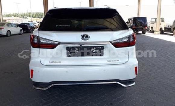 Buy Used Lexus RX 350 White Car in Holetown in Barbados Buy Used Lexus RX 350 White Car in Holetown in Barbados
