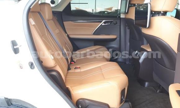 Buy Used Lexus RX 350 White Car in Bathsheba in Barbados Buy Used Lexus RX 350 White Car in Bathsheba in Barbados