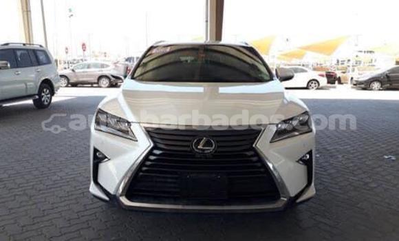 Buy Used Lexus RX 350 White Car in Bathsheba in Barbados Buy Used Lexus RX 350 White Car in Bathsheba in Barbados