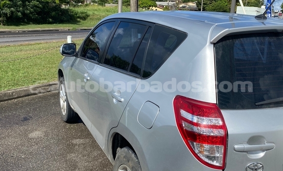 Buy Used Toyota RAV4 Silver Car in Bridgetown in Barbados Buy Used Toyota RAV4 Silver Car in Bridgetown in Barbados