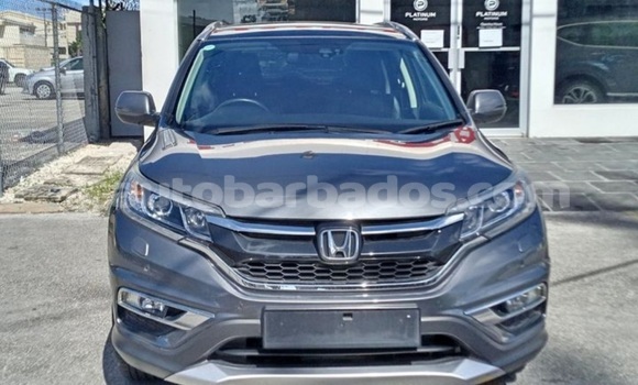 Buy Import Honda CR–V Other Car in Bridgetown in Barbados