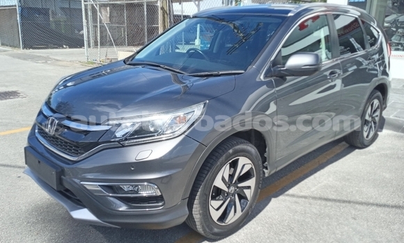 Buy Import Honda CR–V Other Car in Bridgetown in Barbados Buy Import Honda CR–V Other Car in Bridgetown in Barbados
