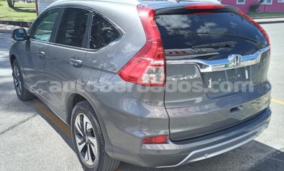 Buy Import Honda CR–V Other Car in Bridgetown in Barbados Buy Import Honda CR–V Other Car in Bridgetown in Barbados