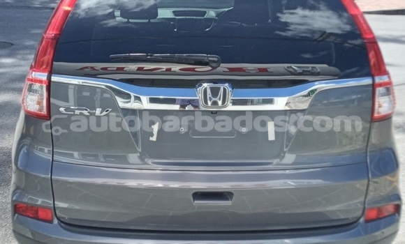 Buy Import Honda CR–V Other Car in Bridgetown in Barbados Buy Import Honda CR–V Other Car in Bridgetown in Barbados
