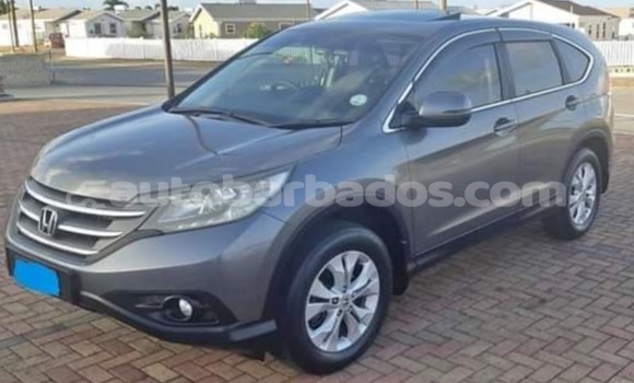 Buy Used Honda CR–V Other Car in Bridgetown in Barbados