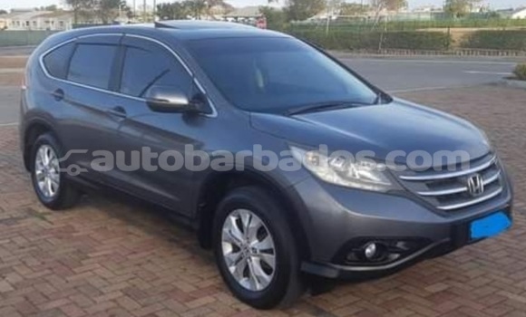 Buy Used Honda CR–V Other Car in Bridgetown in Barbados Buy Used Honda CR–V Other Car in Bridgetown in Barbados