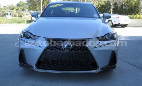 Buy Used Lexus IS Silver Car in Bathsheba in Barbados