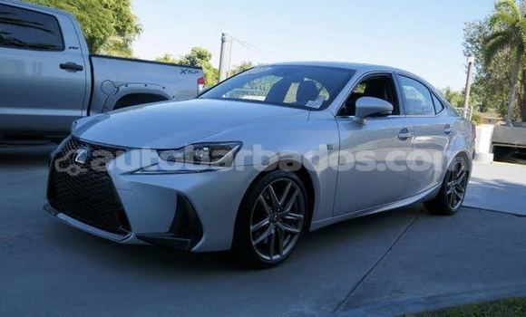 Buy Used Lexus IS Silver Car in Bathsheba in Barbados Buy Used Lexus IS Silver Car in Bathsheba in Barbados