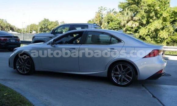 Buy Used Lexus IS Silver Car in Bathsheba in Barbados Buy Used Lexus IS Silver Car in Bathsheba in Barbados