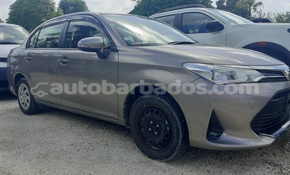 Buy Used Toyota Axio Other Car in Bridgetown in Barbados Buy Used Toyota Axio Other Car in Bridgetown in Barbados