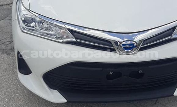 Buy Used Toyota Axio Other Car in Bridgetown in Barbados Buy Used Toyota Axio Other Car in Bridgetown in Barbados