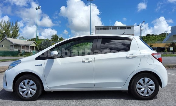 Buy Used Toyota Vitz Other Car in Bridgetown in Barbados Buy Used Toyota Vitz Other Car in Bridgetown in Barbados