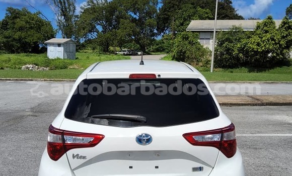 Buy Used Toyota Vitz Other Car in Bridgetown in Barbados Buy Used Toyota Vitz Other Car in Bridgetown in Barbados