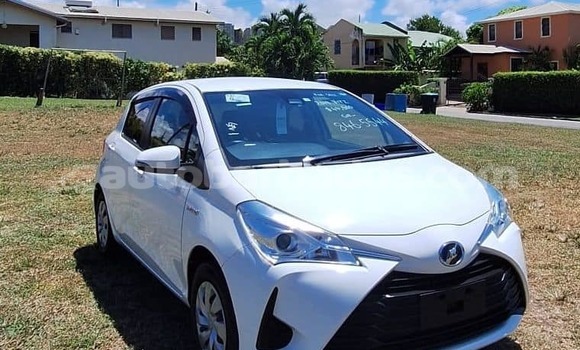 Buy Used Toyota Vitz Other Car in Bridgetown in Barbados