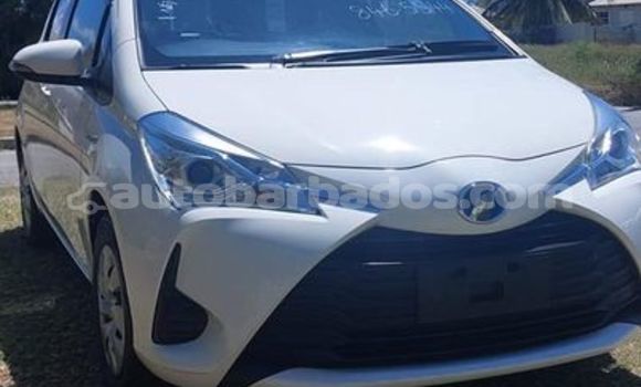 Buy Used Toyota Vitz Other Car in Bridgetown in Barbados Buy Used Toyota Vitz Other Car in Bridgetown in Barbados