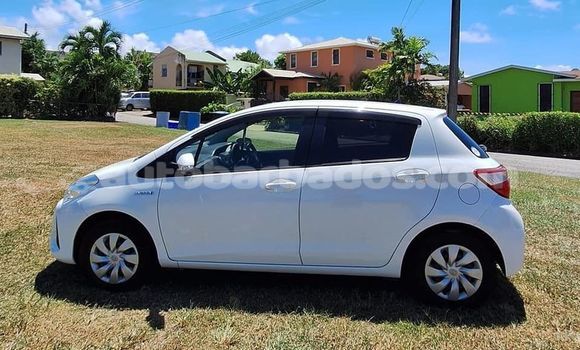 Buy Used Toyota Vitz White Car in Bridgetown in Barbados Buy Used Toyota Vitz White Car in Bridgetown in Barbados