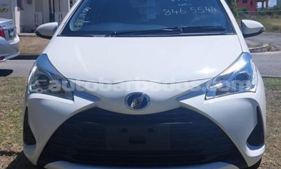 Buy Used Toyota Vitz White Car in Bridgetown in Barbados Buy Used Toyota Vitz White Car in Bridgetown in Barbados