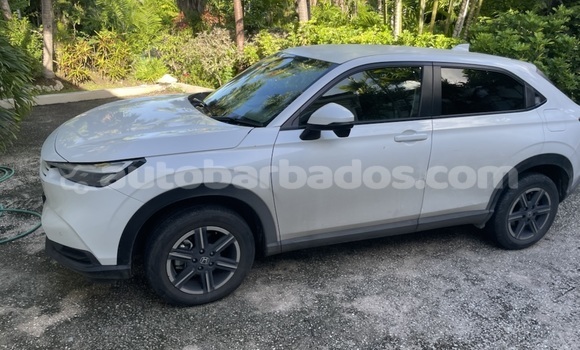 Buy Used Honda Vezel White Car in Holetown in Barbados